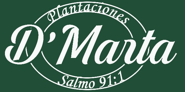logo-footer-min