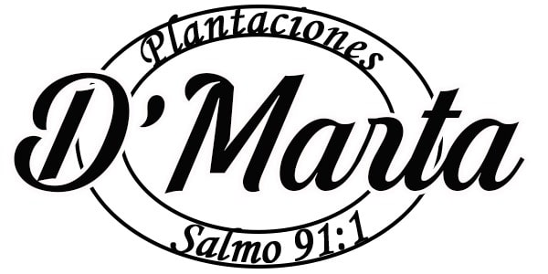 logo-min